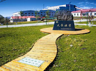 浙江天华矿业集团